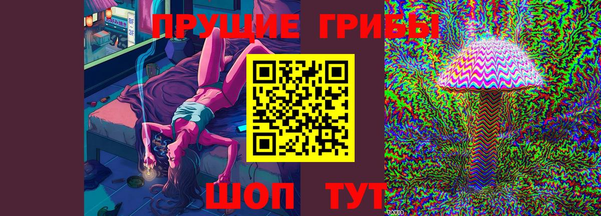 Лосино-Петровский  Псилоцибиновые грибы мицелий  Вход с VPN 